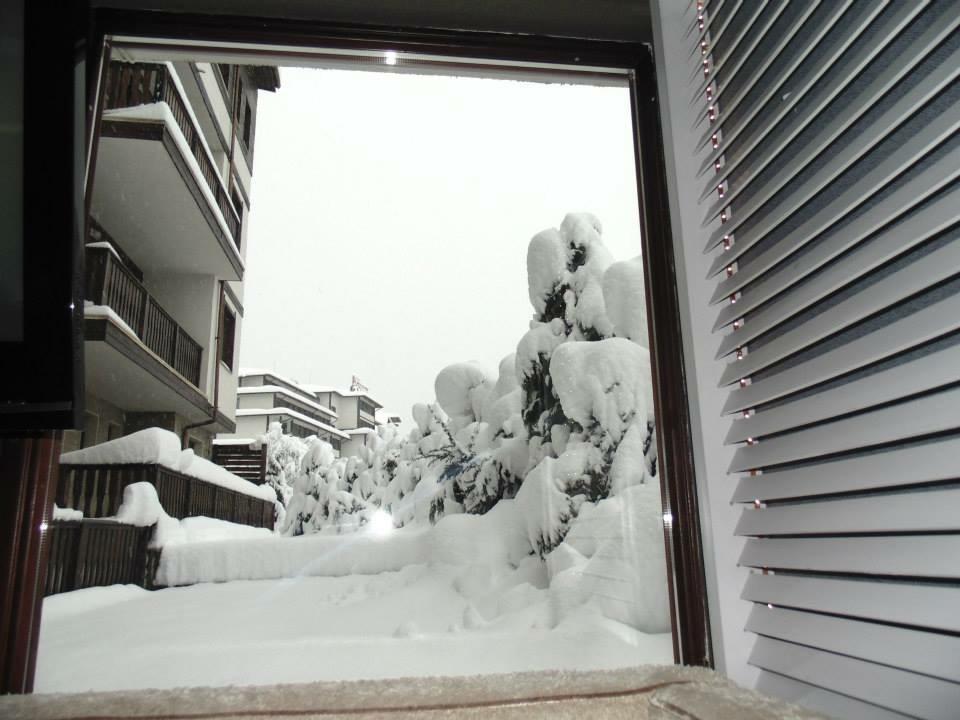 Fortuna *