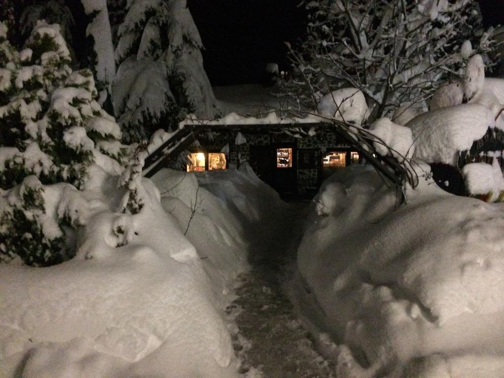Fortuna * Bansko