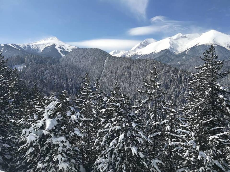 Fortuna Apartment Bansko