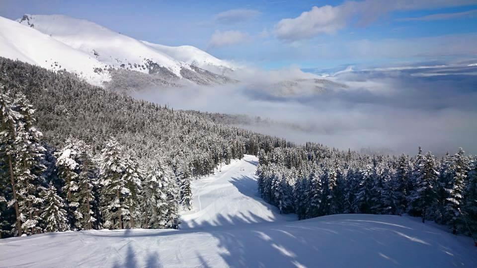 Fortuna Apartment Bansko